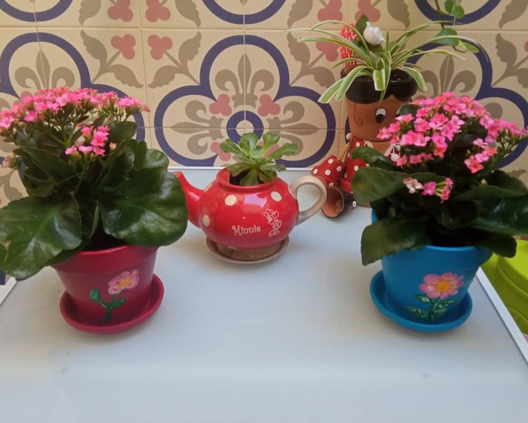 Floraterapia SomosBarrio