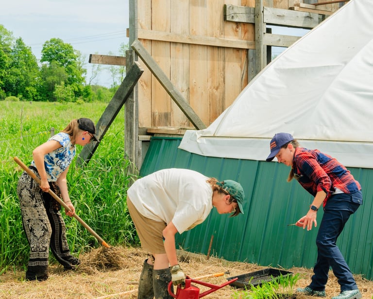 three people are working on a farm
