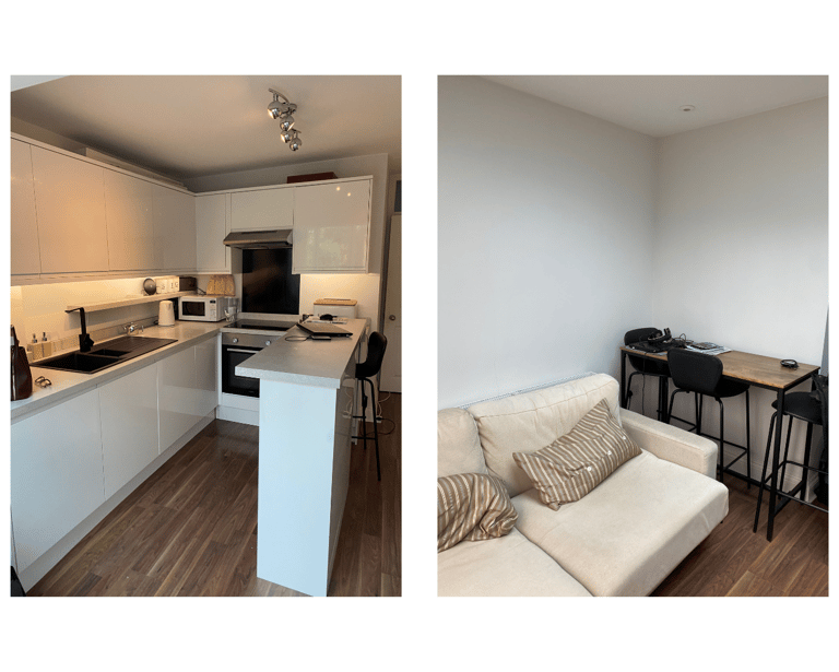 Existing narrow kitchen and living area with very grey and neutral tones