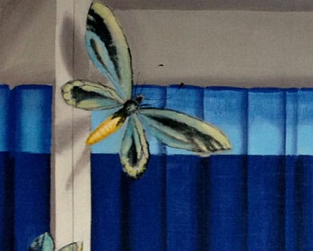 Close-up of bookshelf in trompe-l'oeil style showing a butterfly and books.