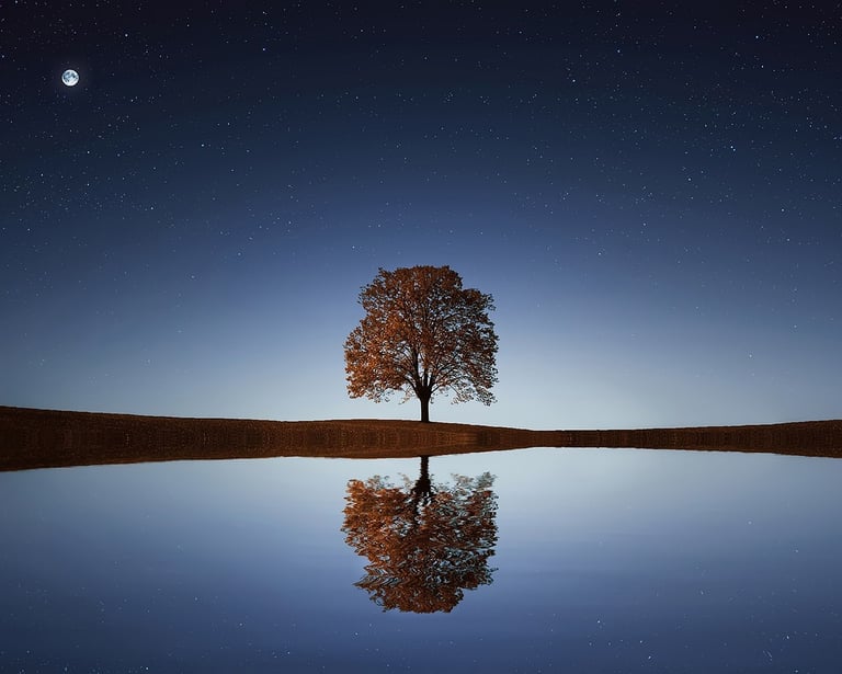 a tree in the middle of a field with a full moon in the background