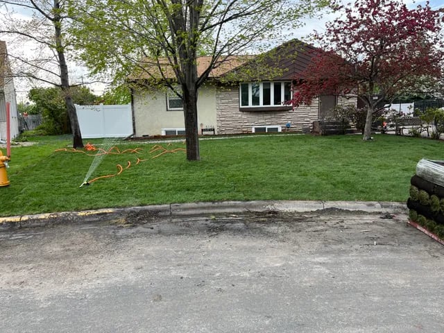 fresh sod installation at residential home in buffalo mn