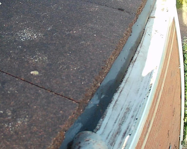 clean guttering