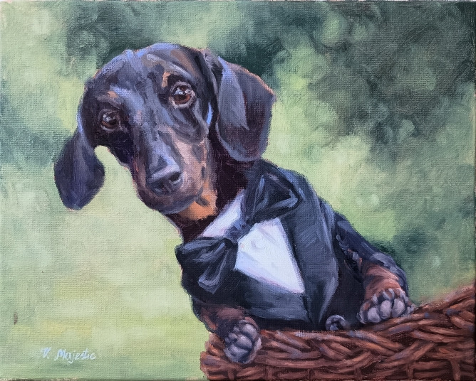 Dachshund, doxin dog pet in a wedding suit, realistic pet portrait
