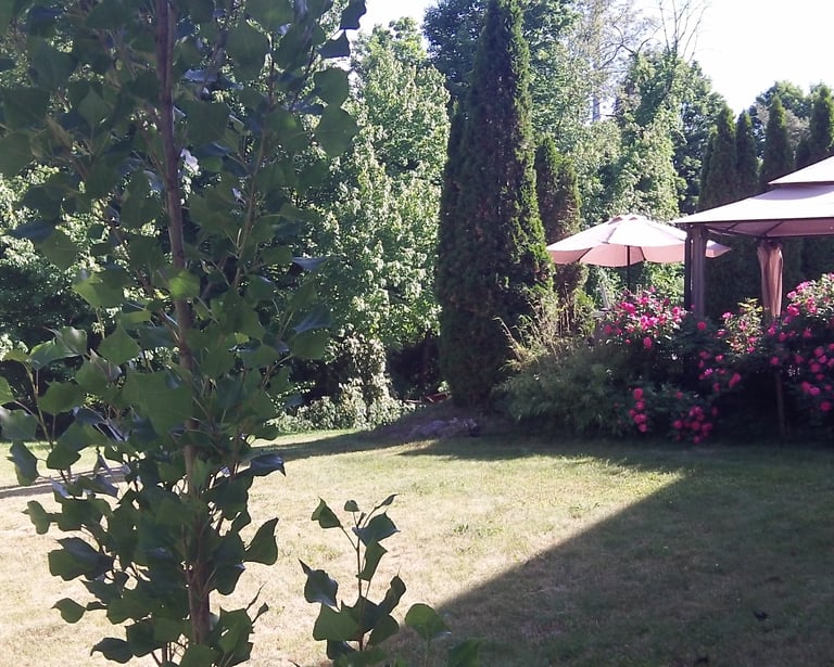Back Yard Patio Gazebo 