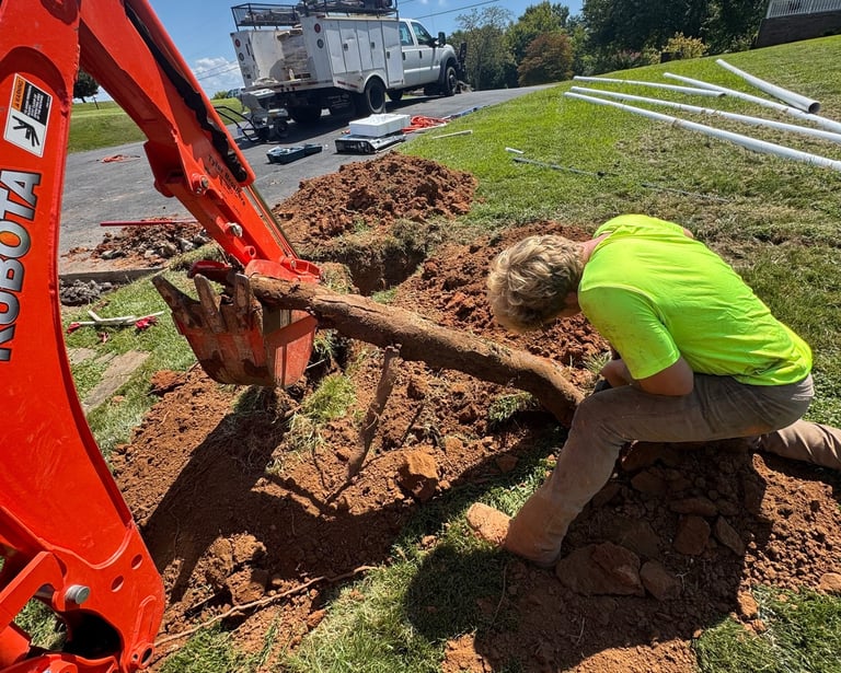 worker taking out wooden log