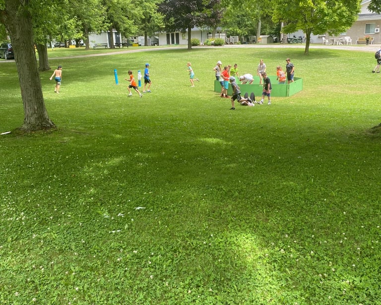 kids playing in a field