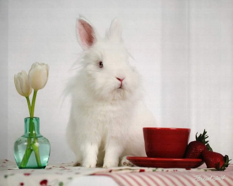 Click for helpful general information