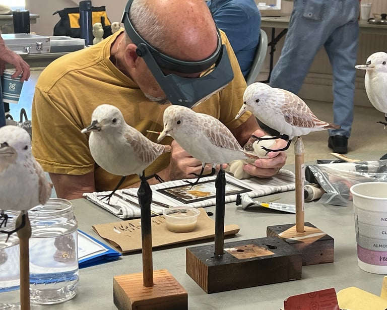 Learn to carve birds