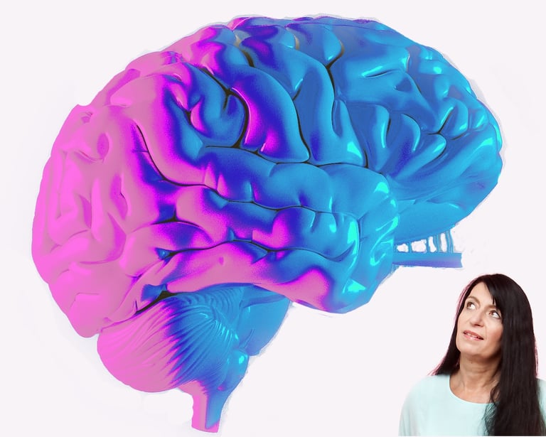 Gehirn rosa-blau und Gabriela