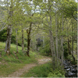 Les Sources Activities - walking or hiking