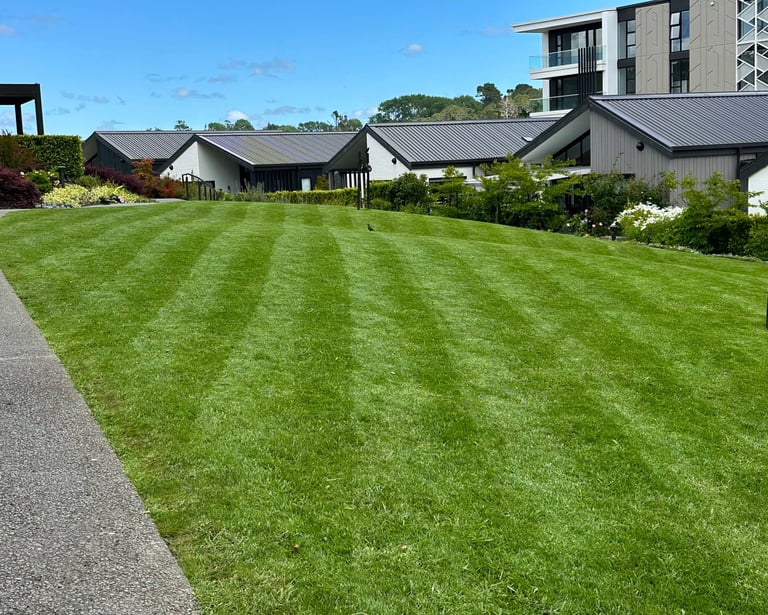 a low angle view of a striped lawn with a lhouse in the background