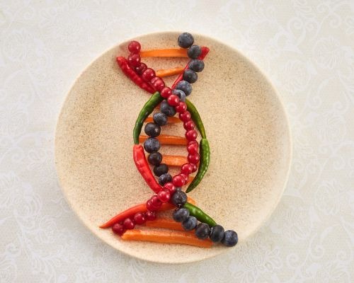 Αλυσίδα DNA από berries σε πιάτο ως σύμβολο για τεστ DNA διατροφής στη Θεσσαλονίκη