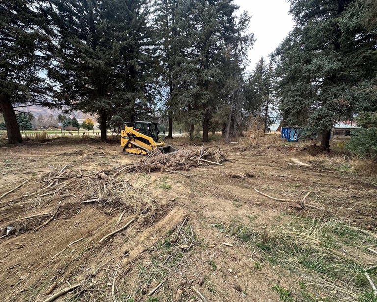 CAT skid steer clearing brush in Northern Utah