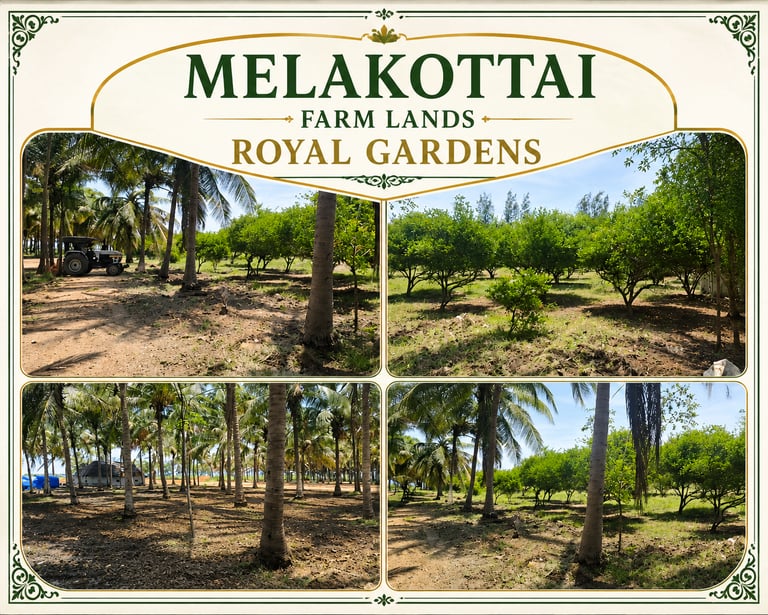 site photos of royal garden farm lands melakottai