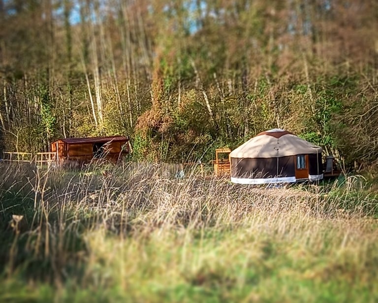 vue d'ensemble d'un espace naturel avec une tiny house et une yourte à louer