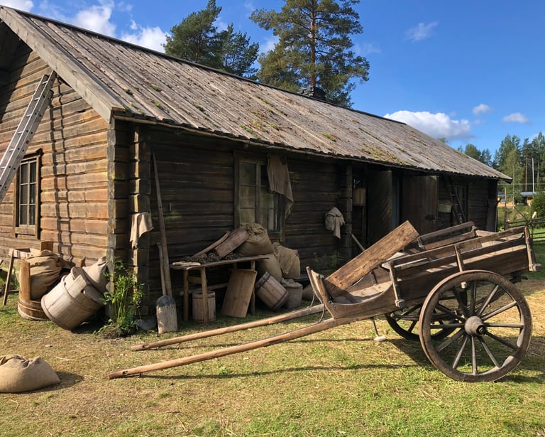 Koka Björn (To Cook a Bear)