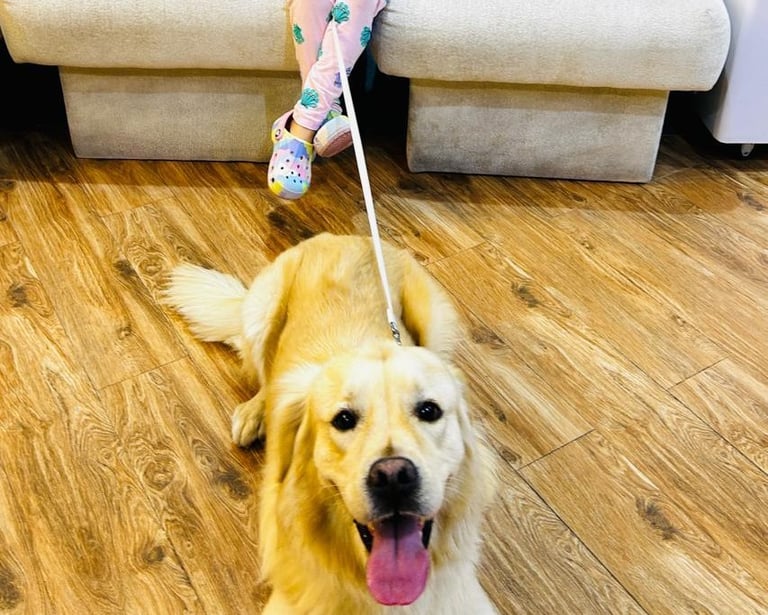 Floyd visits Petland regularly