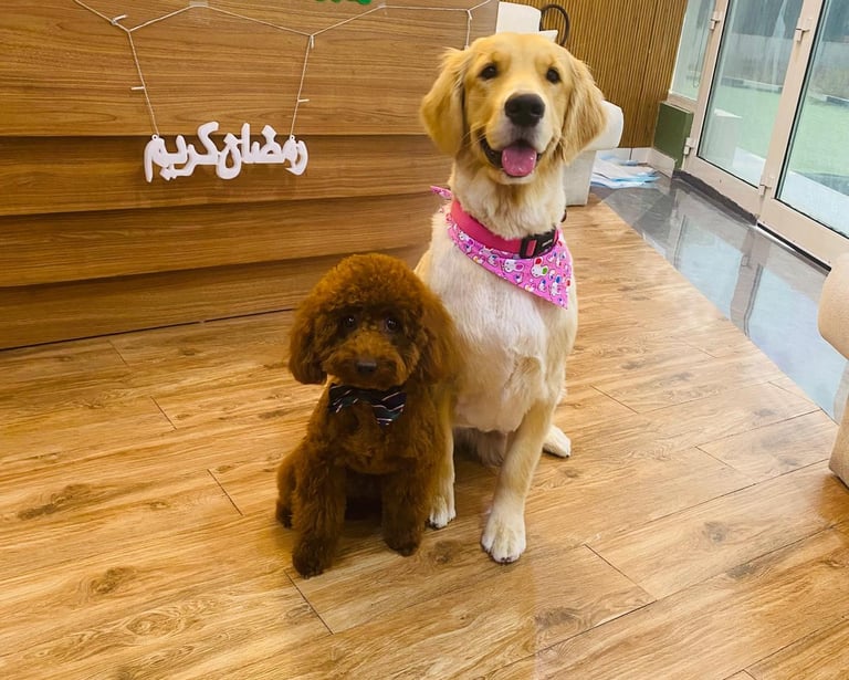 Myla and Miko at Petland