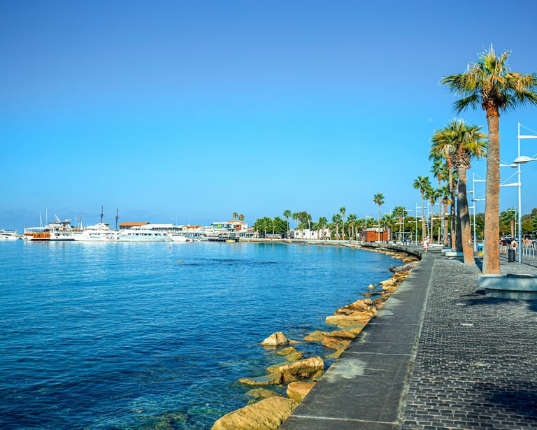 Paphos Free Business Networking Events
