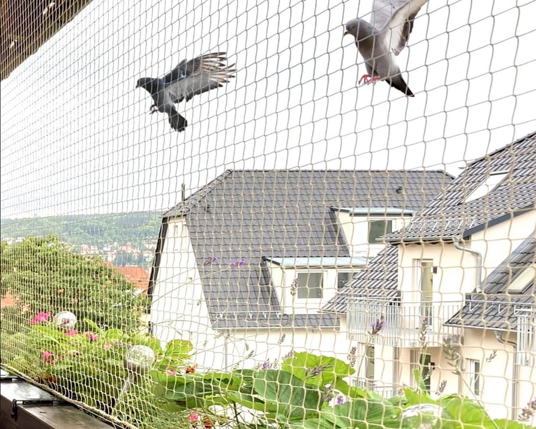 pigeon nets in bengaluru