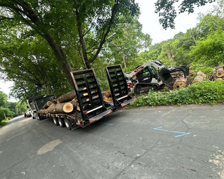 tree-trunk-being-removed.jpg
