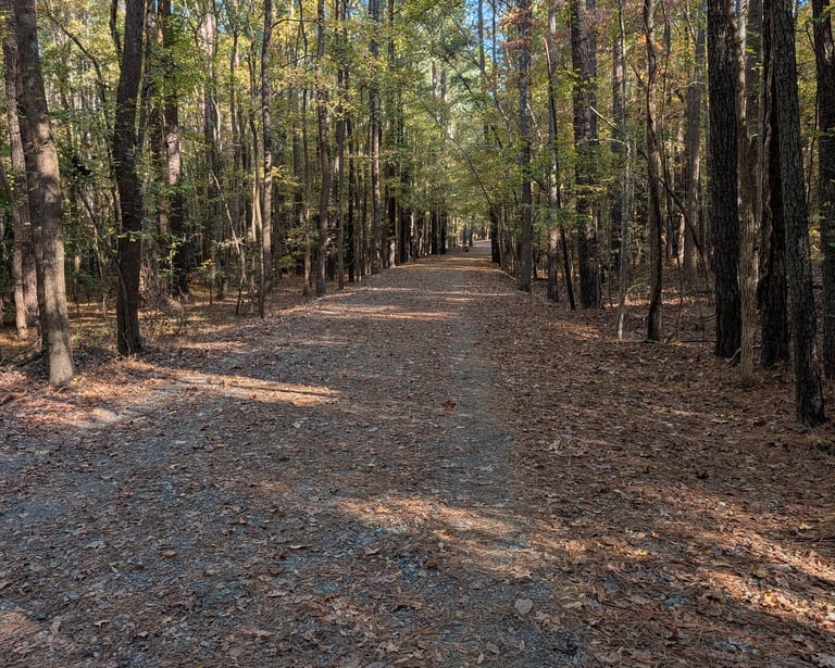 Carolina North Forest Chapel Hill North Carolina