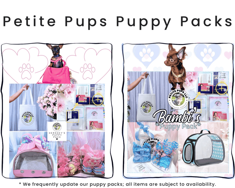 Petite Pups Puppy Packs | Luxury Chihuahua Puppies | PetitePups.com