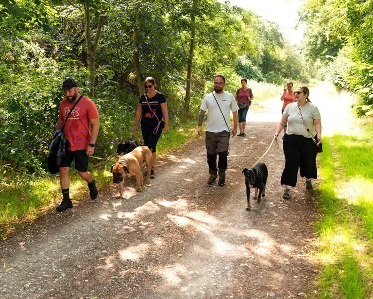 Hunde lernen beim Social Walk in Merseburg, gelassen neben Artgenossen zu laufen.