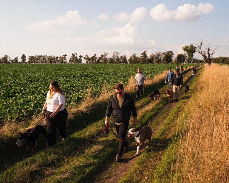 Gruppenspaziergang – Social Walk in Merseburg mit Hundetrainer Basti Ma