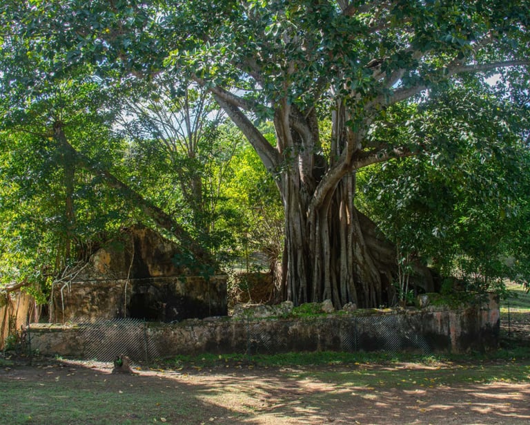 petit canal voyage france guadeloupe