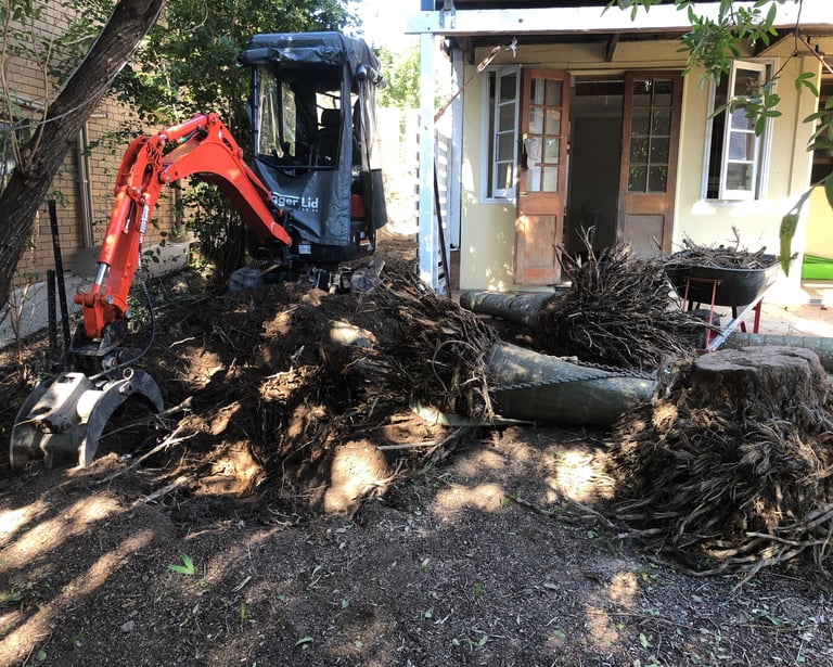 Side access roughed out, boulders reused, and palm roots removed