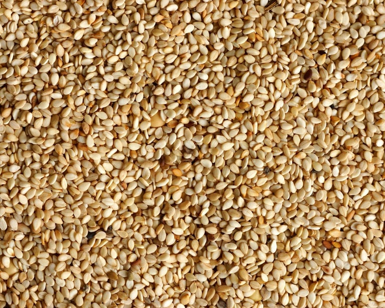 Biggest Sesame Seed Exporters in Pakistan