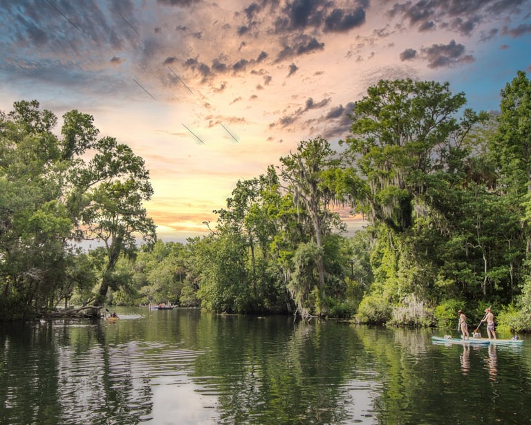 Chassahowitzka River, kayaking on the Chassahowitzka, florida's nature coast