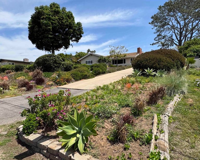 a house with a long driveway lined with plants