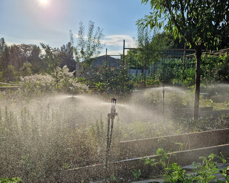 Arrosage par aspersion à la ferme gourmande
