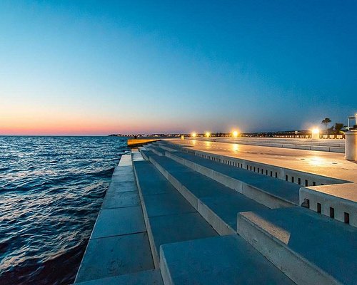 sea-organs-recommendations-article-by-owner