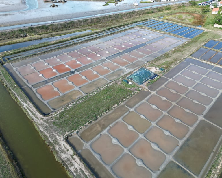 Inspection de marais salants (85)