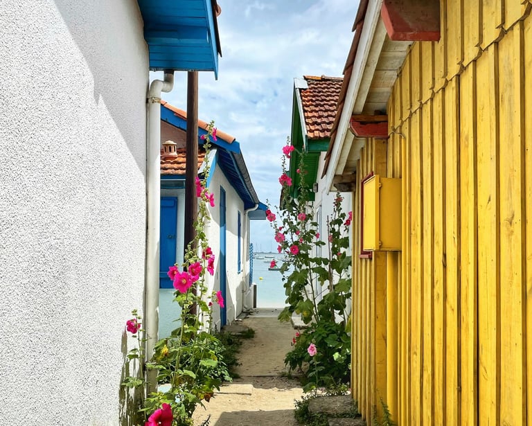 village de pêcheurs cap ferret toiture