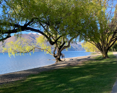 Queestown lake luxury experiences