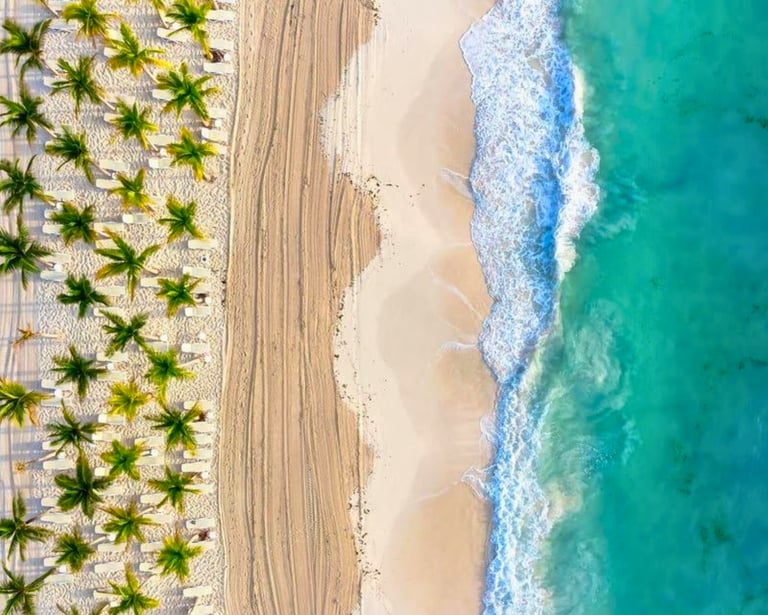 Aerial view of a tropical white sand beach with palm trees and turquoise ocean waves.