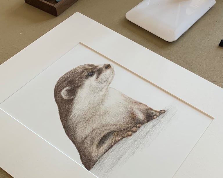 Otter