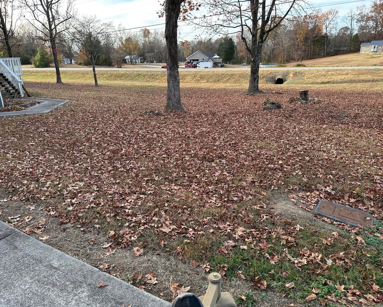 fall and spring cleanups