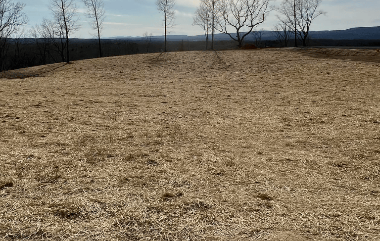 lawn seeding on fresh dirt