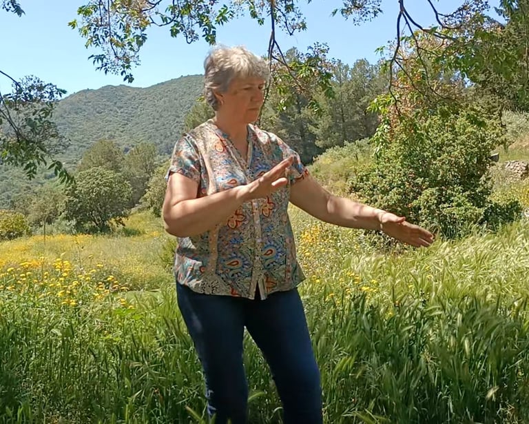 Práctica de Taichi en entorno natural durante curso EntEra