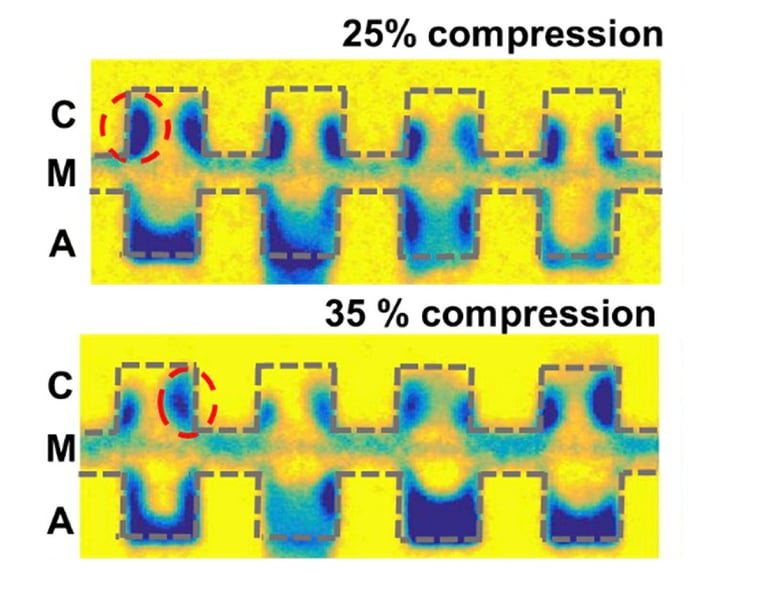 Water management fuel cell compression