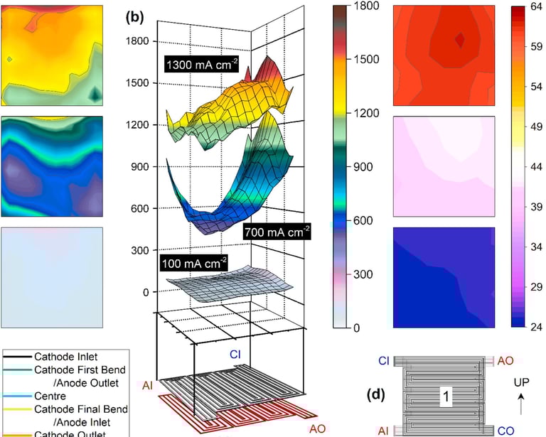 Current and temperature distribution fuel cell