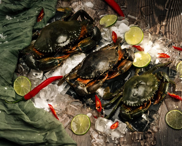 seamorny - vietnamese crab supplier