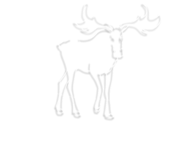 The Logo of Charging Moose Media which features a plugged in Moose