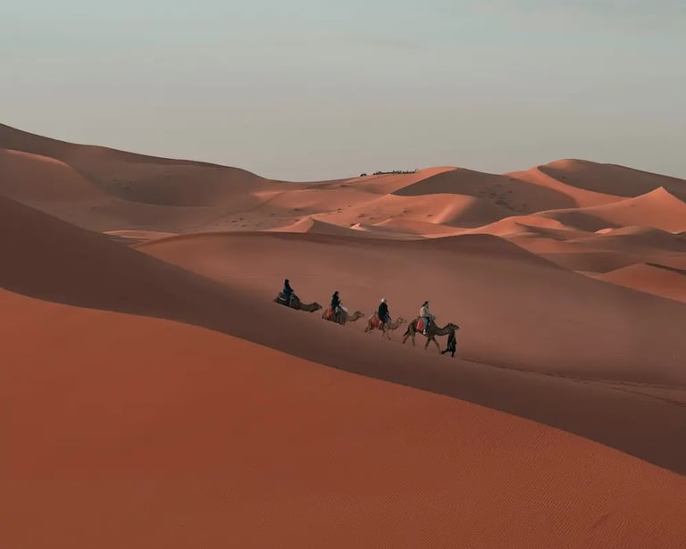 A camel train crosses the ridge of a desert dune field